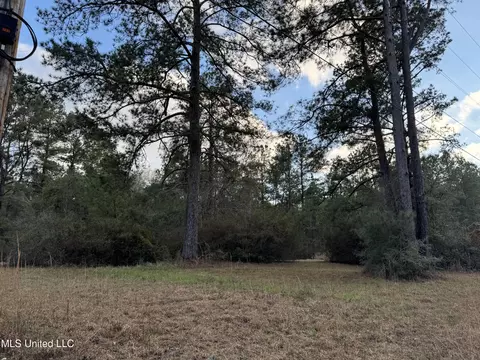 334 Baughman Rd, Poplarville, MS 39470