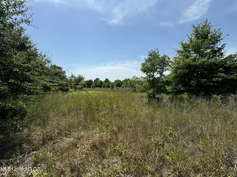 360 Fox Rd, Shaw, MS 38773 photo 15