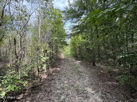 360 Fox Rd, Shaw, MS 38773 photo 14
