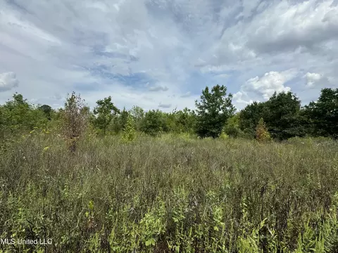 360 Fox Rd, Shaw, MS 38773 photo 10