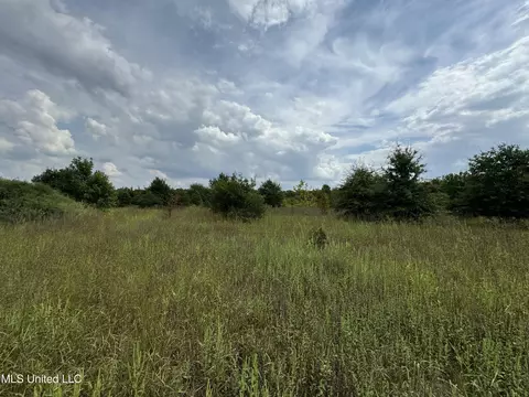 360 Fox Rd, Shaw, MS 38773 photo 12