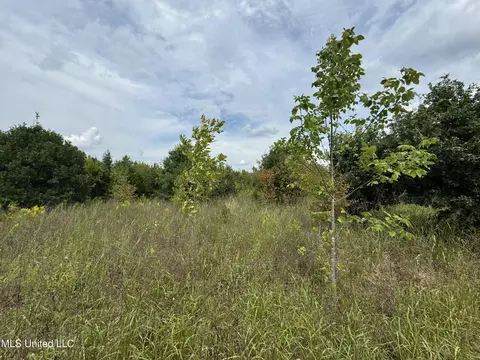 360 Fox Rd, Shaw, MS 38773 photo 11
