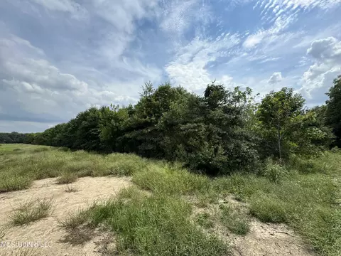 360 Fox Rd, Shaw, MS 38773 photo 13