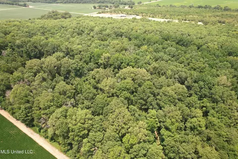 Fox Road, Shaw, MS 38773 photo 3