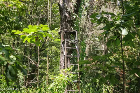 Fox Road, Shaw, MS 38773 photo 22