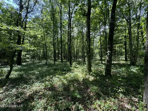 Fox Road, Shaw, MS 38773 photo 11