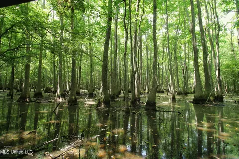 Fox Road, Shaw, MS 38773 photo 20