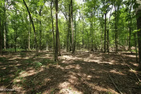 Fox Road, Shaw, MS 38773 photo 16