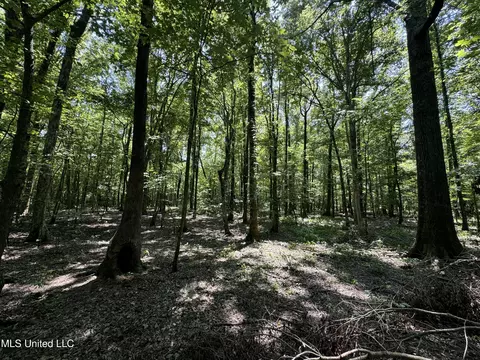 Fox Road, Shaw, MS 38773 photo 12