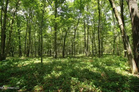Fox Road, Shaw, MS 38773 photo 21