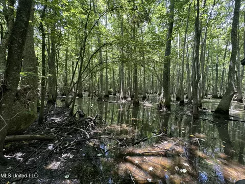 Fox Road, Shaw, MS 38773 photo 9