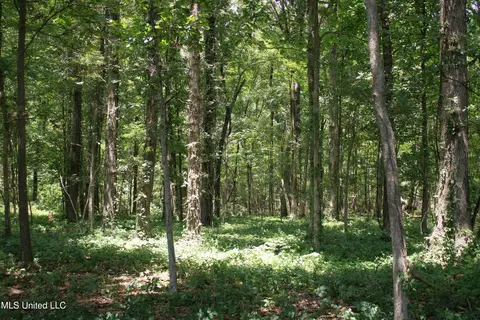 Fox Road, Shaw, MS 38773 photo 14