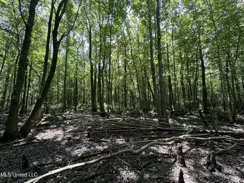 Fox Road, Shaw, MS 38773 photo 8