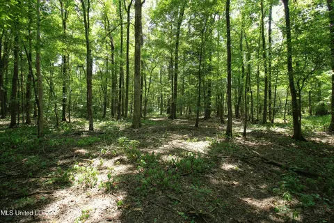 Fox Road, Shaw, MS 38773 photo 24