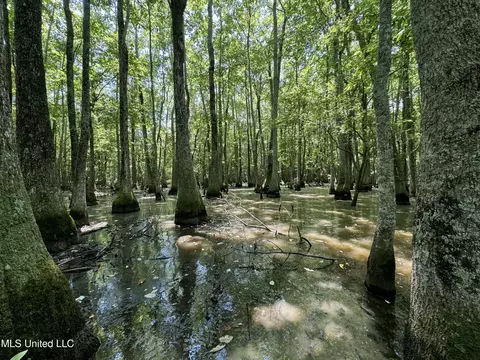 Fox Road, Shaw, MS 38773 photo 10
