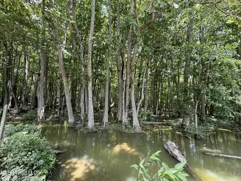 Fox Road, Shaw, MS 38773 photo 4