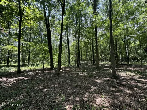 Fox Road, Shaw, MS 38773 photo 6