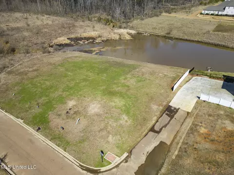 S Canal Drive, Madison, MS 39110 photo 4