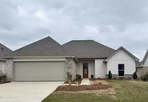 115 Southern Oak Way, Canton, MS 39046 photo 1