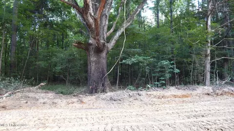 504 247 Country Rd, Bruce, MS 38915 photo 20