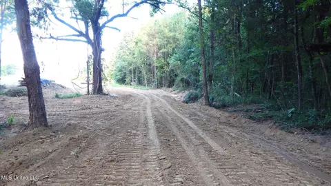 504 247 Country Rd, Bruce, MS 38915 photo 9