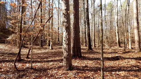 504 247 Country Rd, Bruce, MS 38915 photo 24
