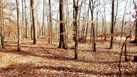 504 247 Country Rd, Bruce, MS 38915 photo 22