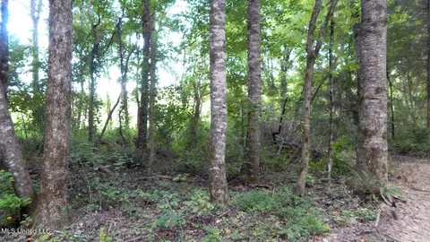 504 247 Country Rd, Bruce, MS 38915 photo 21
