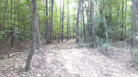 504 247 Country Rd, Bruce, MS 38915 photo 8