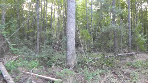 504 247 Country Rd, Bruce, MS 38915 photo 29