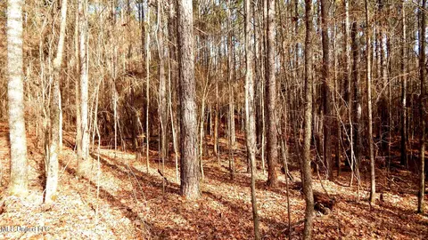 504 247 Country Rd, Bruce, MS 38915 photo 23
