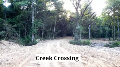 504 247 Country Rd, Bruce, MS 38915 photo 7