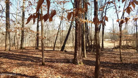504 247 Country Rd, Bruce, MS 38915 photo 26