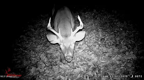 504 247 Country Rd, Bruce, MS 38915 photo 13