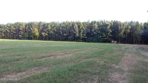 504 247 Country Rd, Bruce, MS 38915 photo 18