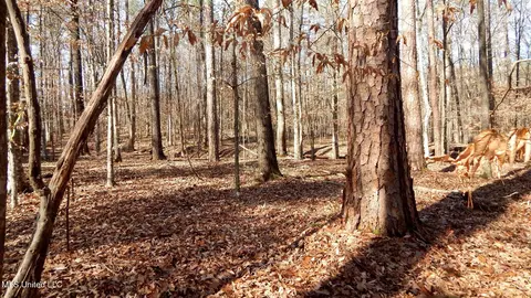504 247 Country Rd, Bruce, MS 38915 photo 25