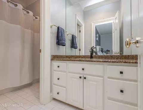 Bath - 110 Windrush Dr, Flowood, MS 39232 photo 5 of 6
