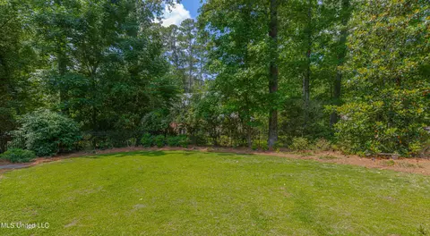 Exterior - 110 Windrush Dr, Flowood, MS 39232 photo 15 of 16