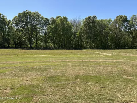 Exterior - 5189 Crick Ln, Hernando, MS 38632 photo 6 of 6