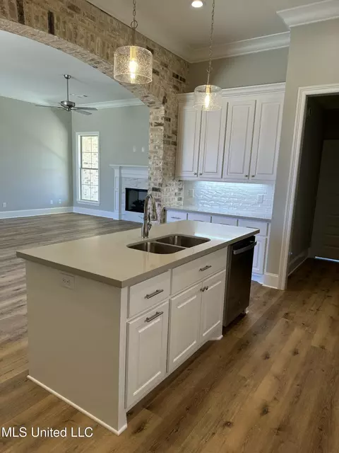 Kitchen - 489 Aurora Cir, Canton, MS 39046 photo 3 of 3