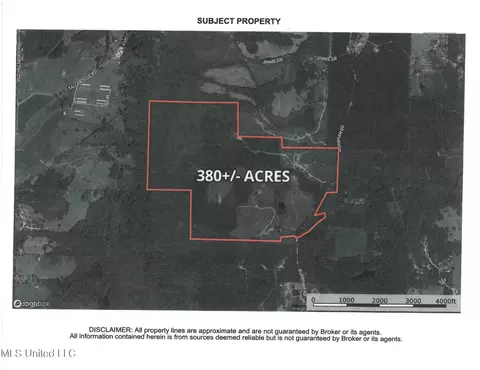 454 Burnham Rd, Forest, MS 39074