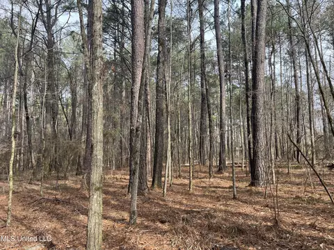 Barnes Road, Florence, MS 39073 photo 10