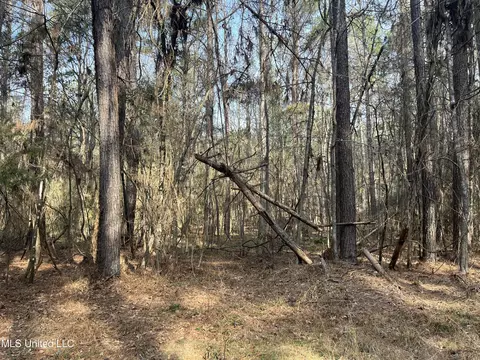 Barnes Road, Florence, MS 39073 photo 22