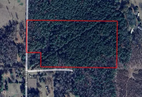 Barnes Road, Florence, MS 39073 photo 2