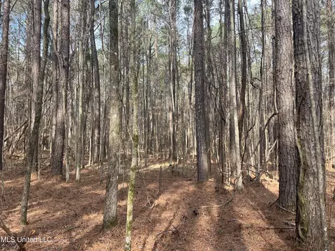 Barnes Road, Florence, MS 39073 photo 12