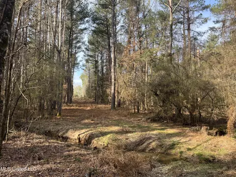 Barnes Road, Florence, MS 39073 photo 23