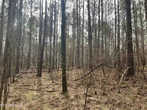 Barnes Road, Florence, MS 39073 photo 3