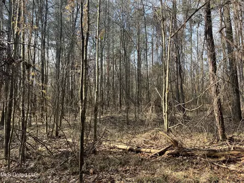 Barnes Road, Florence, MS 39073 photo 30