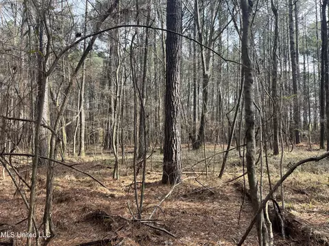 Barnes Road, Florence, MS 39073 photo 14