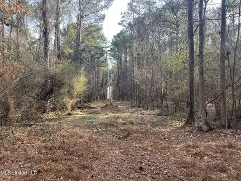 Barnes Road, Florence, MS 39073 photo 25